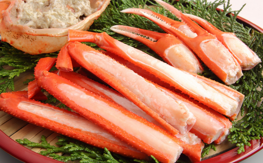 【兵庫県香住産 釜茹で香住ガニ（紅ズワイガニ）2～3匹 冷蔵】新鮮な香住ガニ 絶妙な塩加減で茹で上げ ミネラル豊富な海洋深層水域で育ったカニ 関西では「香住漁港」だけしか水揚げを許可されていない特産品 足が1～2本折れたカニが混ざる場合がございます かに おすすめ 兵庫県 香美町 宿院商店 33-21