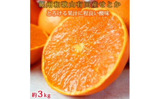 【4か月定期便】旬の柑橘定期便 / みかん ミカン 柑橘 オレンジ 果物 くだもの フルーツ フルーツ定期便 和歌山【tkb416】