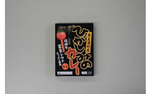 【数量限定】JAひがしみのオリジナル特産品セット1 飛騨牛カレー・とまとじゅうす・お米 F4N-1221