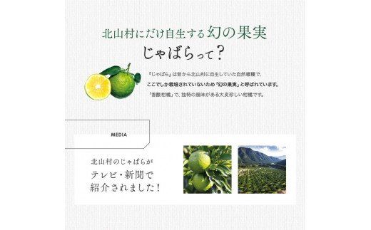 じゃばら果汁100ml×3本 【njb212】