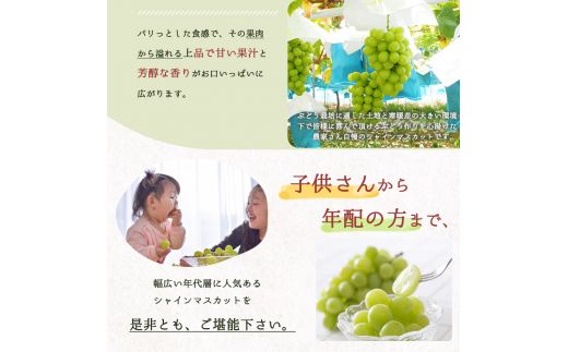 紀州和歌山産 シャインマスカット 約1kg ※2026年8月中旬頃〜2026年9月上旬頃に順次発送 ※日付指定不可 ぶどう ブドウ 葡萄 マスカット 果物 くだもの フルーツ 人気【uot782】