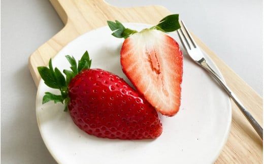 【先行予約】特大まりひめ いちご 朝摘 6個～11個入り×2パック 2026年1月中旬～3月末頃に順次発送予定（お届け日指定不可）/ いちご 苺 まりひめ 【kiy003A】