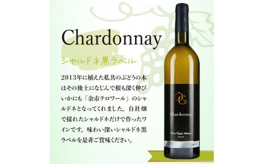 【OcciGabi Winery】おススメ黒ラベルシリーズ４本セット 【余市のワイン】 ワイン 白ワイン 赤ワイン 人気ワイン ワインセット 余市のワイン 北海道のワイン 日本のワイン 国産ワイン_Y012-0096