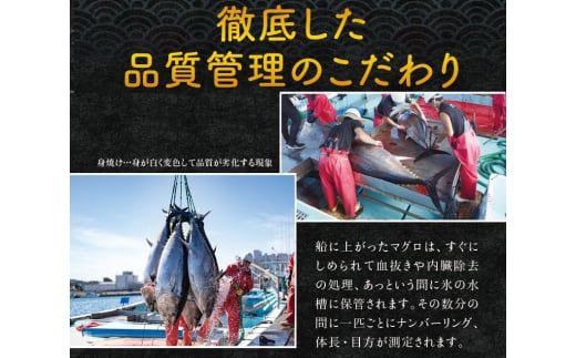 【期間限定本マグロ（養殖）トロ＆赤身セット 500g  【1月発送】高級 クロマグロ  中トロ 中とろ まぐろ マグロ 鮪 刺身 赤身 柵 じゃばらまぐろ 本マグロ 本鮪 【nks110B_cp-1】