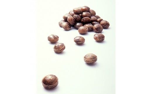 創業140年 のどにいちばん黒あめ那智黒セット(幸)【ncg100】