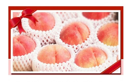 紀州和歌山産の桃　１５玉　化粧箱入 ※2026年6月下旬頃〜2026年8月上旬頃順次発送（お届け日指定不可） 【uot780A】