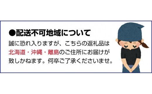 【産直・人気の特産品】和歌山の桃　3玉入り  ※2025年6月下旬～2025年8月上旬頃に順次発送【tec947A】