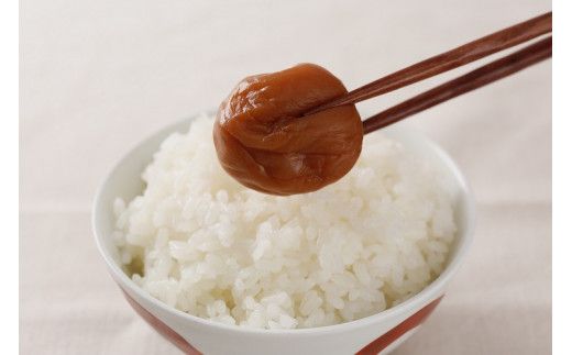 紀州南高梅 梅干し４種類セット計800g（200g×4箱）[中玉]２Ｌサイズ うめぼし 和歌山産 (化粧箱入)/紀伊国屋文左衛門本舗【sgtb287A】