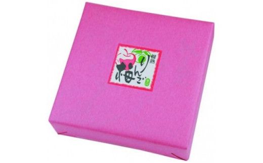 りんご梅１ｋｇ【紀の里食品】 【kns006】