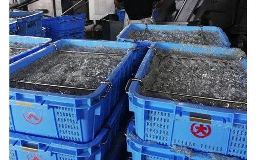 茹でたて釜揚げしらす　1kg(250g×4パック)【冷蔵】/ 無添加なしらす 無着色のしらす しらす シラス 釜揚げのしらす 小分けできるしらす 冷蔵のしらす 【mar101】