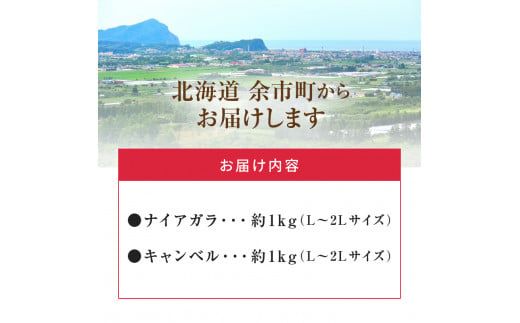 【2024年9月中旬以降発送】フルーツ王国余市産「ナイアガラ・キャンベル」2kg_Y074-0106