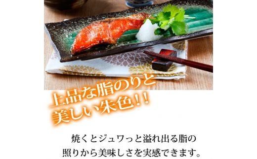 和歌山魚鶴仕込の天然紅サケ切身約2kg 【uot401-4】