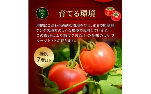 ガスパチョとまと　1,000ml×2本セット 果汁100％ トマト トマトジュース 冷製スープ ガスパチョ 余市 フルーツトマト 桃太郎 糖度7度以上 無加水栽培 過酷環境栽培 アンデス農法 1000ml 寒暖差 スープ ピューレー 自然栽培 瓶詰め 送料無料 北海道 余市町 トマトジュース_Y144-0005