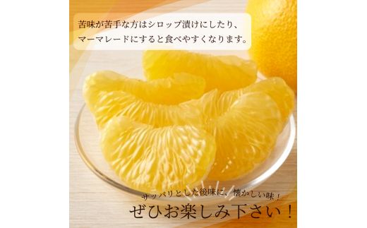 紀州和歌山産 八朔（はっさく） 約10kg ※2026年2月上旬頃～2026年2月下旬頃に順次発送 ※日付指定不可 / 八朔 はっさく 柑橘 果物 くだもの フルーツ【uot785】