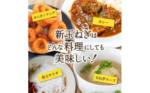 和歌山県産新玉ねぎ約10kg　Lサイズ 約25個入り　こだわり農家厳選！【2026年4月末頃～6月中旬に発送予定】【kgr033】