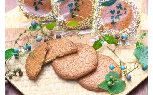 鮎16個・みかんサブレ12枚 詰め合わせセット　クッキー サブレ 焼き菓子 菓子 お菓子 餡 ギフト【fks108A】