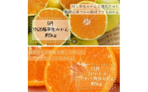 【全6回定期便】奇数月にお届け♪【産直】野菜＆フルーツ定期便！キウイ・不知火・アイコトマト・桃・極早生みかん・有田みかん【tkb358】