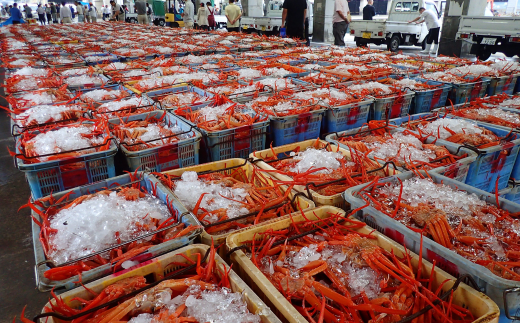【本場香住漁港であがった！香住ガニセット4匹入り 三七十特製カニ味噌2本付き】 令和6年9月中旬以降順次発送 カニの本場 香住産 厳選 茹で香住ガニ姿4杯入り！日帰り漁の香住ガニは鮮度抜群！水揚げされたばかりの香住ガニを熟練の職人が釜茹でします。 ふるさと納税 香美町 香住 かに ゆでガニ むき身 足 爪 かにすき 05-04　