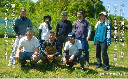 総社の白桃・ピオーネ詰合せ岡山県総社市産【2025年産先行予約】25-020-002