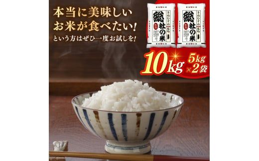 【令和7年産】特Aきぬむすめ【精白米】10kg 岡山県総社市〔令和8年1月配送〕25-017-003