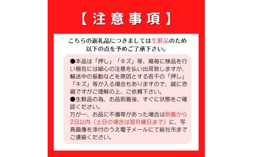 白桃「白鳳（2kg箱）」岡山県総社市産【2025年産先行予約】25-020-003