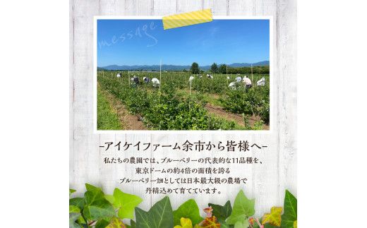 【先行予約：2025年7月25日以降発送】青果ブルベリーおまかせ２品種食べ比べセット1Kg（500g×2パック）＜アイケイファーム余市＞_Y111-0004