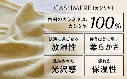 ラウンドネックプルオーバー(L.イエロー )男性用サイズ:L(44)≪白田のカシミヤ≫