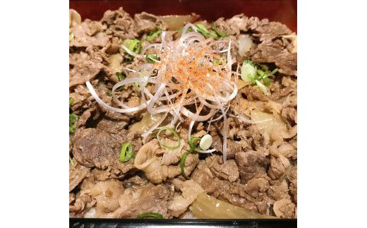 和歌山の老舗専門店の味、熊野牛、国産うなぎのうな牛丼セットB【mtf501】