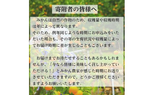有田みかん「風のしるし」（約5kg）(A1051-1)