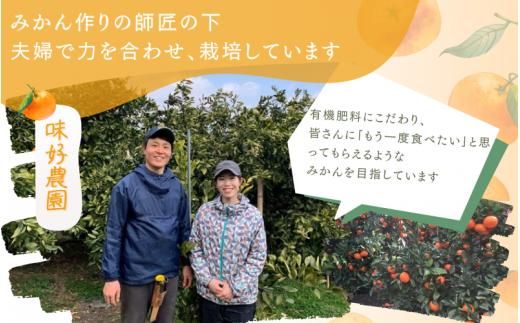 【和歌山県産】秀品 「紅娘」 温州 みかん  山下紅早生 1kg 「お試しに♪」 【S~2Lサイズおまかせ】【2026年11月中旬～2026年12月中旬までに順次発送】＜味好農園＞ /温州みかん みかん 蜜柑 柑橘 山下早生 早生 秀品 紅早生 フルーツ 果物 くだもの 希少【agy004-beni-1】