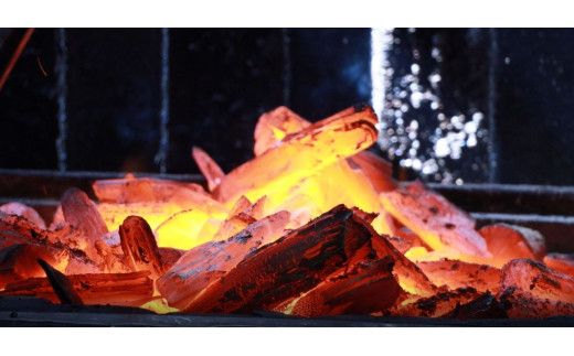 極上！国産うなぎ蒲焼 3尾（約200g×3） 創業100年以上続く老舗 紀州備長炭でじっくり焼き上げた専門店の味 （タレ・山椒付き）/ うなぎ ウナギ 鰻 蒲焼 国産 ふるさと納税【skr003A】