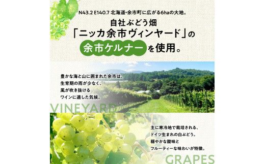 【ふるさと納税】 数量限定 ＆ 北海道限定 N・Y・V （エヌ・ワイ・ブイ） 余市ケルナー 白ワイン 辛口 ニッカ余市ヴィンヤード  ワイン  贈り物  ギフト  プレゼント _Y090-0014