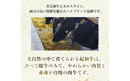 紀和牛サーロインステーキ4枚セット【冷凍】 / 牛 牛肉 ステーキ サーロイン 紀和牛【tnk102-2】