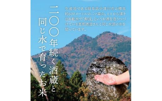 岐阜県産 棚田米 1等米コシヒカリ はちたか米 精米5kg F4N-1363