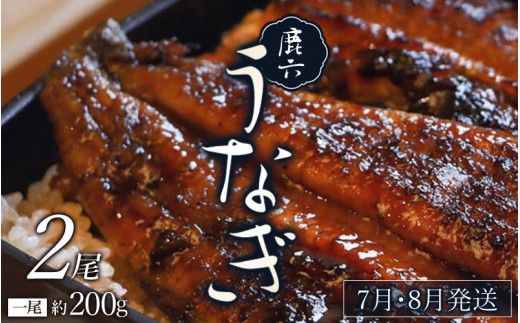 【新宮市】贅沢定期便　6回 / うなぎ 国産 鰻 ウナギ 鮑 アワビ あわび 和牛 牛肉 肉 すきやき 天然 まぐろ 食べ比べ 豚 チャーシュー 焼豚 かつおぶし 鰹節 かつお節 ご当地 【tkb138】