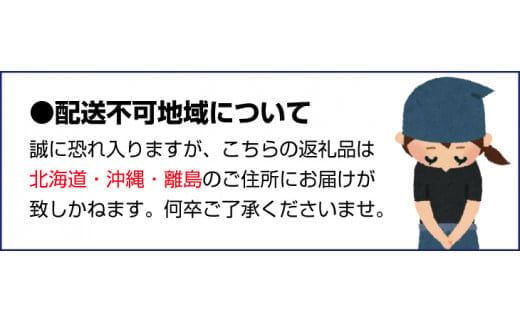 ＜2月より発送＞家庭用 はるみ1.5kg+45g（傷み補償分）【デコポンの姉妹品種・新食感春みかん】【光センサー選別】【わけあり・訳あり】【ikd142】