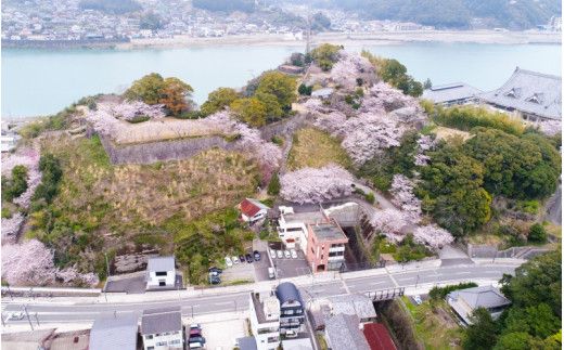 新宮市 ガイドと歩く歴史探訪ツアー 選べる史跡・神社2カ所巡り / 熊野 世界遺産 天然記念物 自然 神社【skk006】
