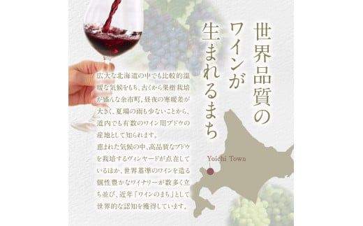 【平川ワイナリー】スパークリングワイン2本セット レザミティエ2020 レザミティエロゼ2019 ワイン 贈り物 ギフト プレゼント  お取り寄せ 北海道 余市町 送料無料_Y090-0017