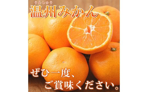 【先行予約】紀州有田産 濃厚完熟 温州みかん 5kg 【家庭用 訳あり】 ※2024年11月下旬頃～2025年1月下旬頃に順次発送予定【uot003】