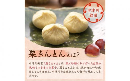 中津川銘菓「栗きんとん使用」栗粉餅6個入×3箱 [秋季限定] 栗 くり くりきんとん 餅 和菓子 菓子 スイーツ 秋 限定 冷凍 岐阜県 F4N-1026