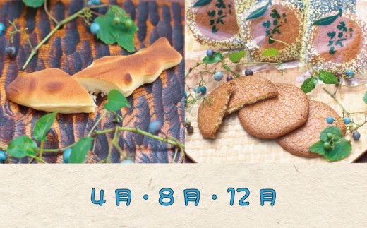 定期便 【新宮市】スイーツセット　4回 / ケーキ マイヤーレモン レモン 焼菓子 和菓子 サブレ まんじゅう 饅頭 ミルク みかん ご当地【tkb137】