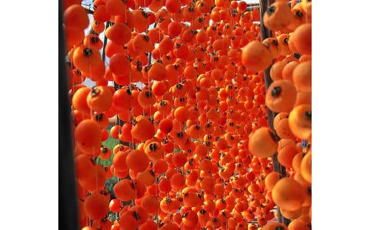 【2026年3月お届け】 御菓子所 川上屋 柿の美きんとん 10個入り F4N-1903