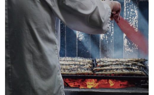 【全12回定期便】極上！国産うなぎ蒲焼 1尾×12回 計12尾 約2400g 創業100年以上続く老舗 紀州備長炭でじっくり焼き上げた専門店の味 （タレ・山椒付き）【tkb317】