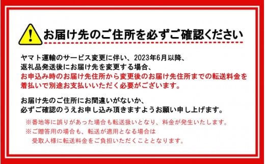 【先行予約】＼ みかんの名産地 和歌山県産／ 農家直送 大玉 有田みかん 5kg （2L～3L） ひとつひとつ手選別で厳選【2025年11月下旬頃発送予定】/ みかん ミカン 果物 くだもの フルーツ