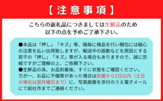 ぶどう「大房ピオーネ」（2房）総社市秦チーム担い手【2025年産先行予約】25-030-003