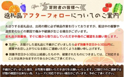 【2025年12月発送予約】＼光センサー選別／農家直送 こだわりの有田みかん 約6kg＋250g(傷み補償分) 【ご家庭用】 みかん ミカン 有田みかん 温州みかん 柑橘 有田 和歌山 ※北海道・沖縄
