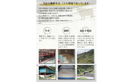 希少和牛 熊野牛ロース しゃぶしゃぶ用 約500g＜冷蔵＞ しゃぶしゃぶ 牛肉【sim101A】