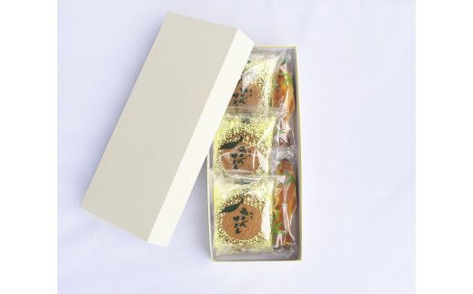 鮎4個・みかんサブレ9枚 詰め合わせセット　クッキー サブレ 焼き菓子 菓子 お菓子 餡 ギフト【fks106】