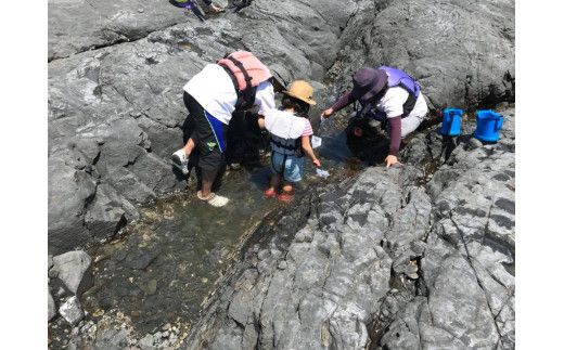 森浦湾カヤック体験（大人）中学生以上　太地フィールドカヤック2時間体験コース / アクティビティ レジャー 体験チケット 観光【tgk106】