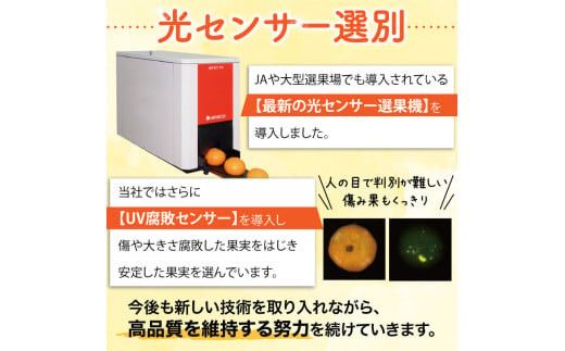【2025年11月発送予約分】＼光センサー選別／ 【農家直送】【家庭用】こだわりの有田みかん 約8kg＋250g(傷み補償分) 有機質肥料100% サイズ混合 【11月発送】 【nuk100-11】